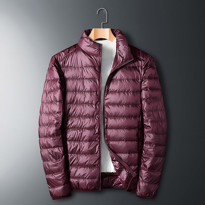 Bowen - Herren Daunenjacke: Leicht und modisch