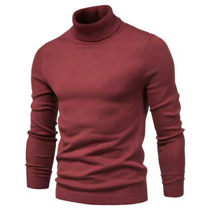 Harvey - Eleganter Rollkragenpullover für Männer