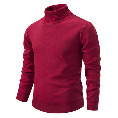 Antony - Baumwoll-Rollkragenpullover für Herren im entspannten Design